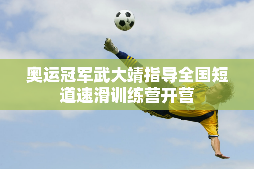 裁判判罚